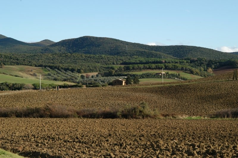 BIBBONA CAMPAGNA
